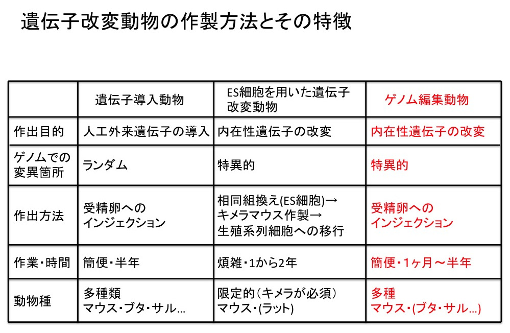 遺伝子改変動物の改変方法