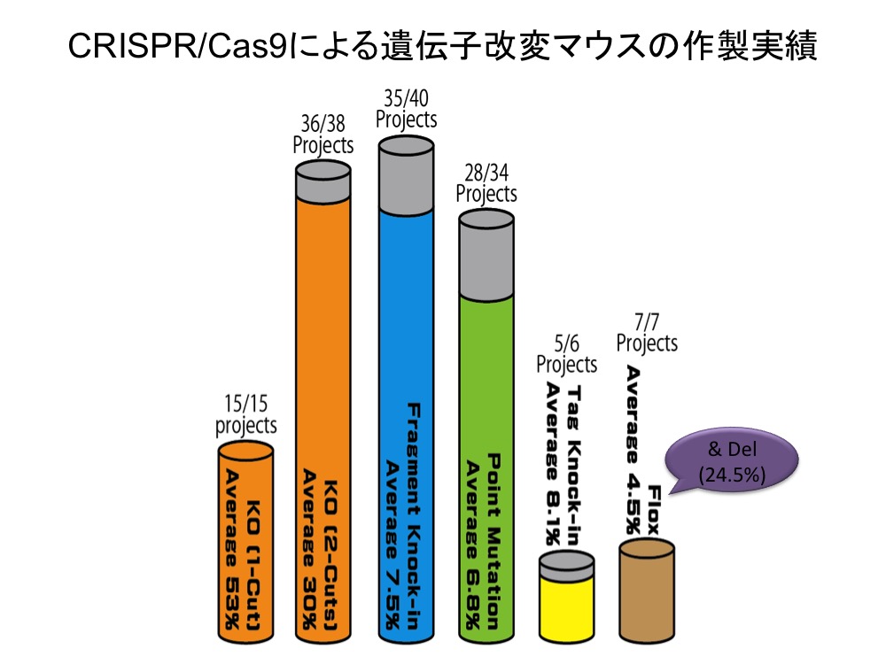 遺伝子改変マウスの作製実績