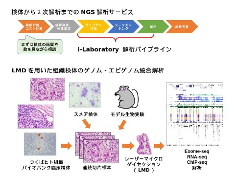 NGS Analysis Service
